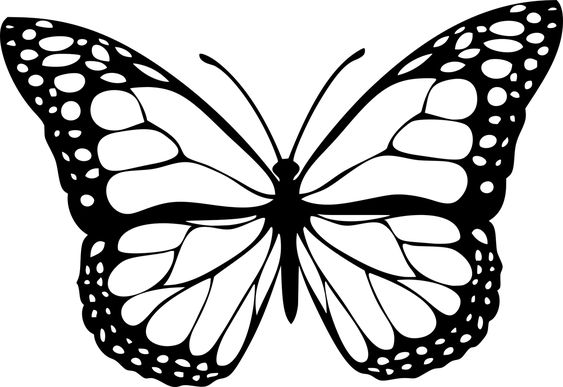 Coloriage Papillon : 32 Dessins De Papillon à Imprimer et à Colorier 1