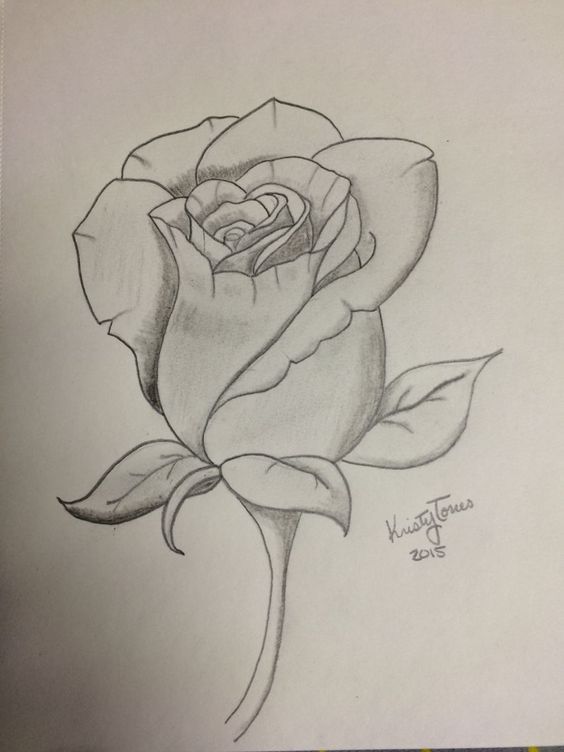 Comment dessiner une rose ? 37 idées & tutos étapes par étapes 12