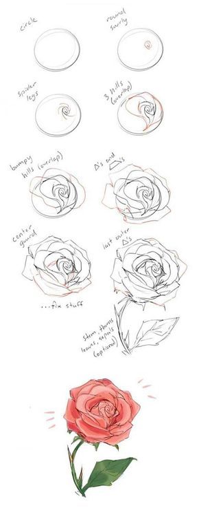 Comment dessiner une rose ? 37 idées & tutos étapes par étapes 16