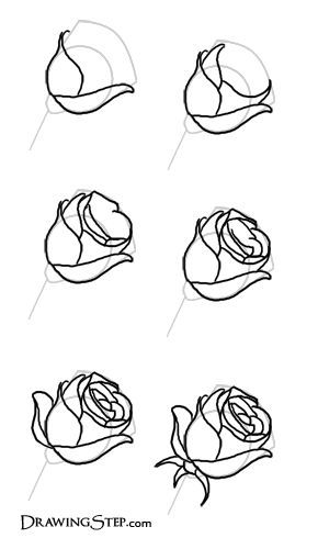 Comment dessiner une rose ? 37 idées & tutos étapes par étapes 18