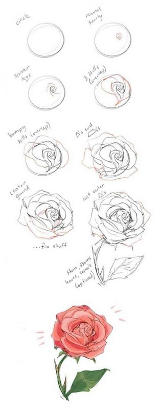Comment dessiner une rose ? 37 idées & tutos étapes par étapes 20