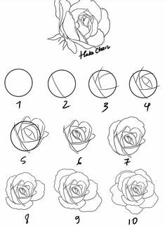 Comment dessiner une rose ? 37 idées & tutos étapes par étapes 21