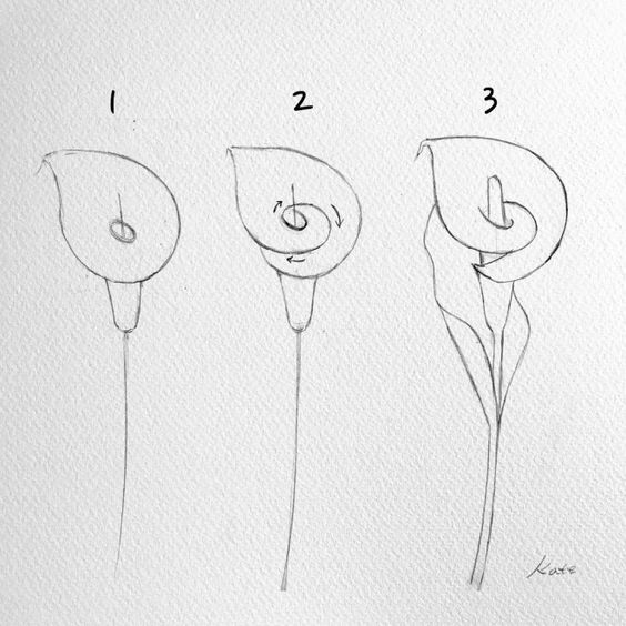 Comment dessiner une rose ? 37 idées & tutos étapes par étapes 25