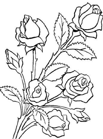 Comment dessiner une rose ? 37 idées & tutos étapes par étapes 28