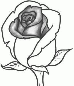 Comment dessiner une rose ? 37 idées & tutos étapes par étapes 35