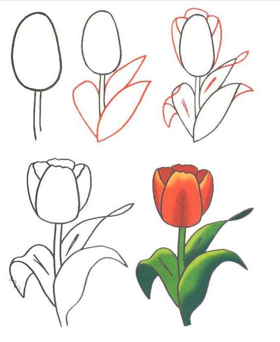 Comment dessiner une rose ? 37 idées & tutos étapes par étapes 37