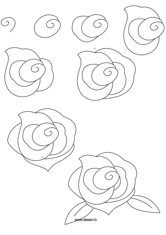 Comment dessiner une rose ? 37 idées & tutos étapes par étapes 7