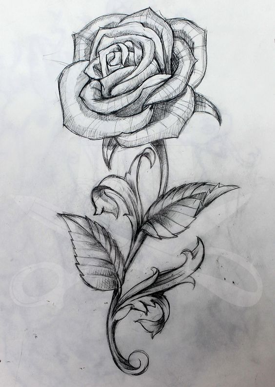Comment dessiner une rose ? 37 idées & tutos étapes par étapes 9