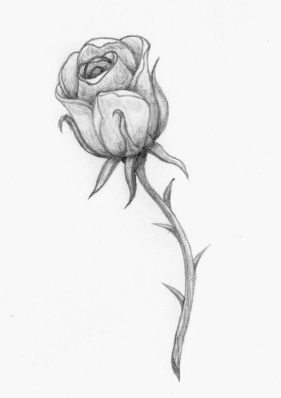Comment dessiner une rose ? 37 idées & tutos étapes par étapes 10