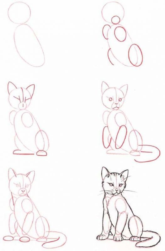 29 tutos dessins chat : pour savoir comment dessiner un chat facilement 17