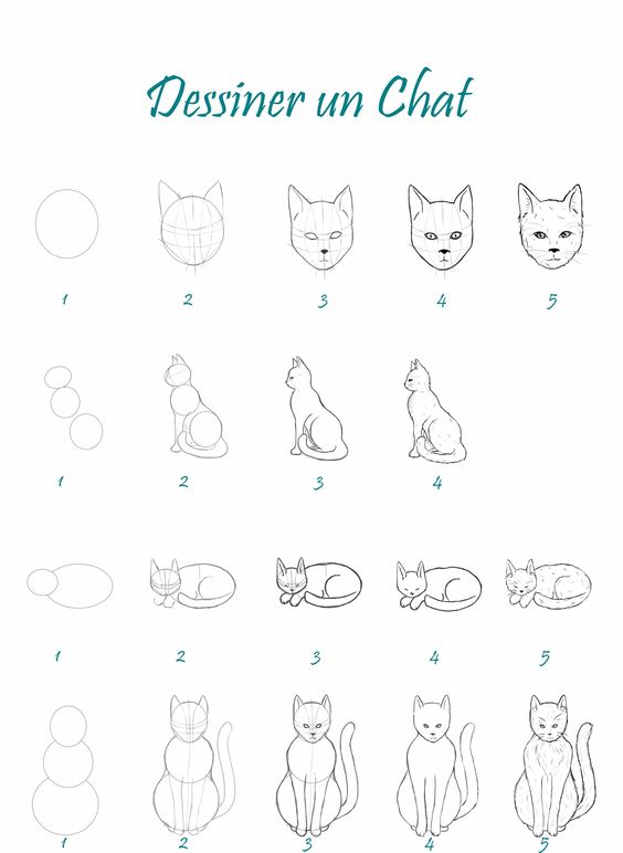 29 tutos dessins chat : pour savoir comment dessiner un chat facilement 22