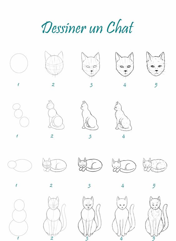 29 tutos dessins chat : pour savoir comment dessiner un chat facilement 22 29 tutos dessins chat : pour savoir comment dessiner un chat facilement 22