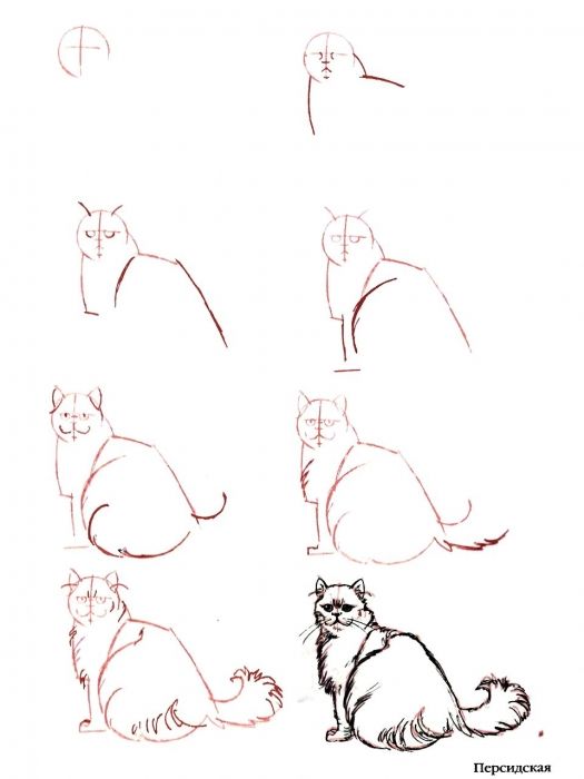 29 tutos dessins chat : pour savoir comment dessiner un chat facilement 25