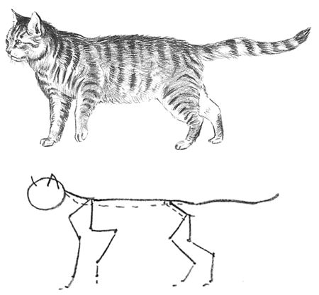 29 tutos dessins chat : pour savoir comment dessiner un chat facilement 30