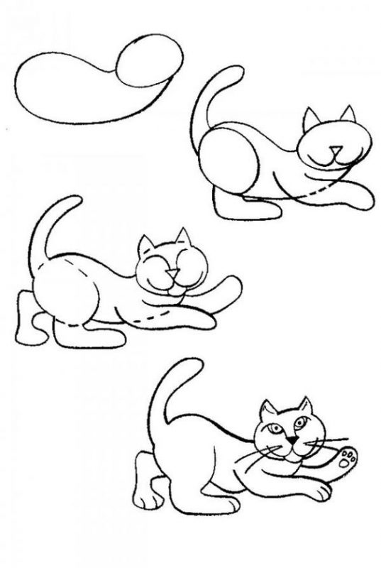 29 tutos dessins chat : pour savoir comment dessiner un chat facilement 2