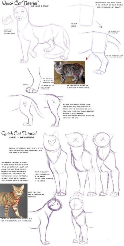 29 tutos dessins chat : pour savoir comment dessiner un chat facilement 29