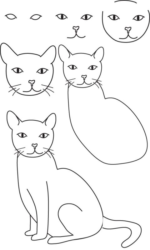 29 tutos dessins chat : pour savoir comment dessiner un chat facilement 1
