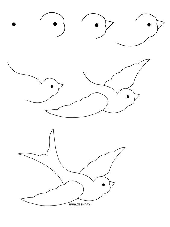 29 tutos dessins d'oiseaux étape par étape pour apprendre à dessiner des oiseaux 8