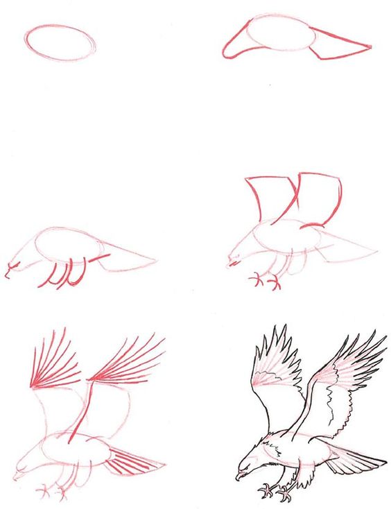 29 tutos dessins d'oiseaux étape par étape pour apprendre à dessiner des oiseaux 17