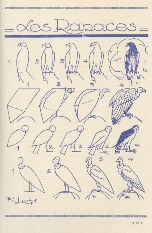29 tutos dessins d'oiseaux étape par étape pour apprendre à dessiner des oiseaux 18