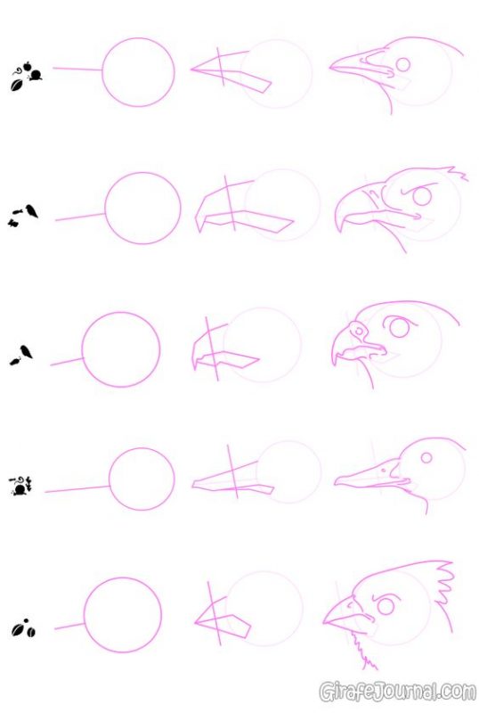 29 tutos dessins d'oiseaux étape par étape pour apprendre à dessiner des oiseaux 23