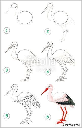 29 tutos dessins d'oiseaux étape par étape pour apprendre à dessiner des oiseaux 26