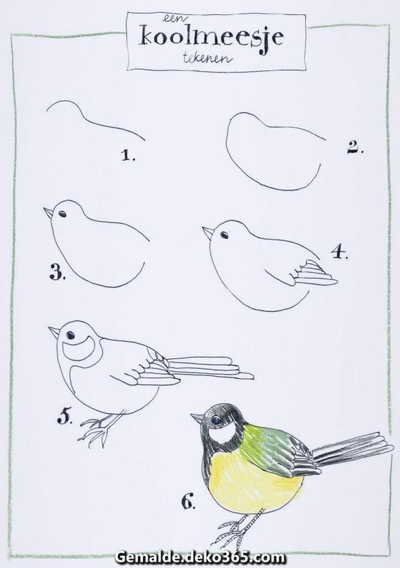 29 tutos dessins d'oiseaux étape par étape pour apprendre à dessiner des oiseaux 6