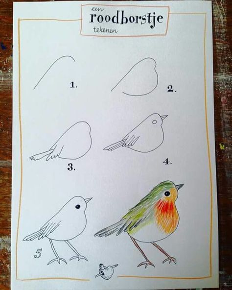 29 tutos dessins d'oiseaux étape par étape pour apprendre à dessiner des oiseaux 1