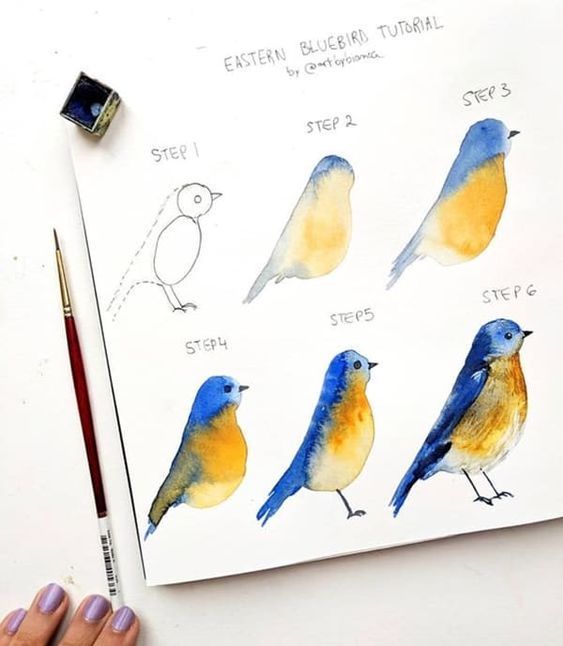 29 tutos dessins d'oiseaux étape par étape pour apprendre à dessiner des oiseaux 4