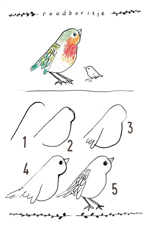 29 tutos dessins d'oiseaux étape par étape pour apprendre à dessiner des oiseaux 5