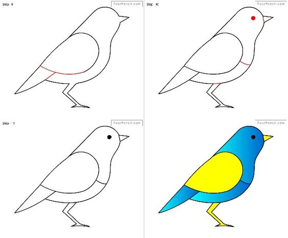 29 tutos dessins d'oiseaux étape par étape pour apprendre à dessiner des oiseaux 29