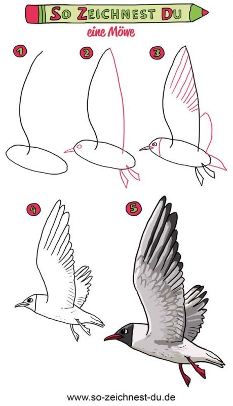 29 tutos dessins d'oiseaux étape par étape pour apprendre à dessiner des oiseaux 11