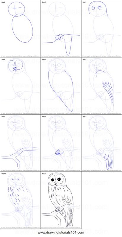 29 tutos dessins d'oiseaux étape par étape pour apprendre à dessiner des oiseaux 39