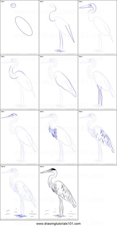 29 tutos dessins d'oiseaux étape par étape pour apprendre à dessiner des oiseaux 41