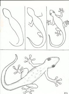 37 top idées et tutos de dessins d'animaux : pour apprendre à dessiner des animaux 2