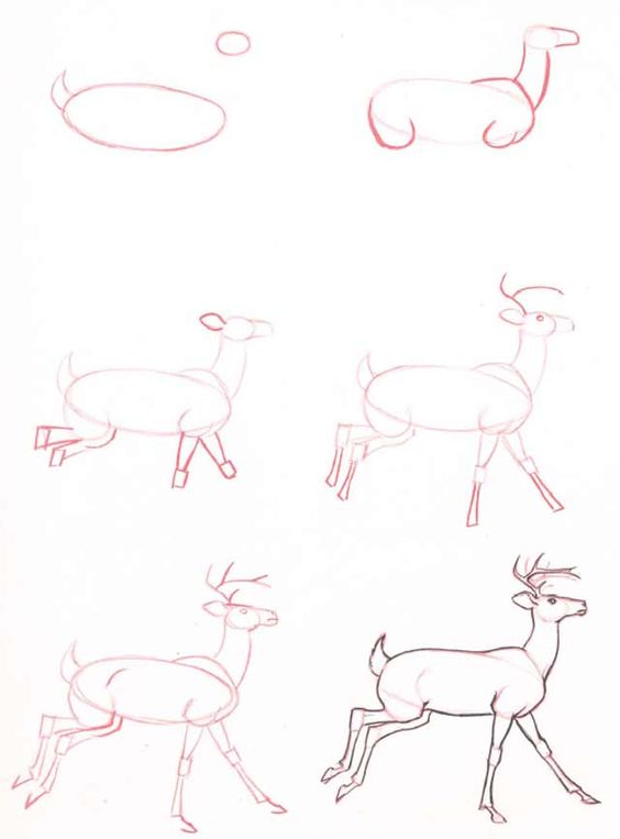 37 top idées et tutos de dessins d'animaux : pour apprendre à dessiner des animaux 28