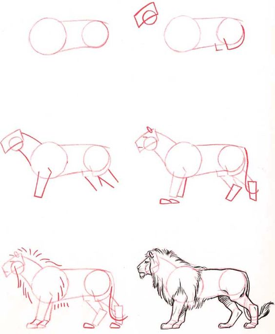 37 top idées et tutos de dessins d'animaux : pour apprendre à dessiner des animaux 30