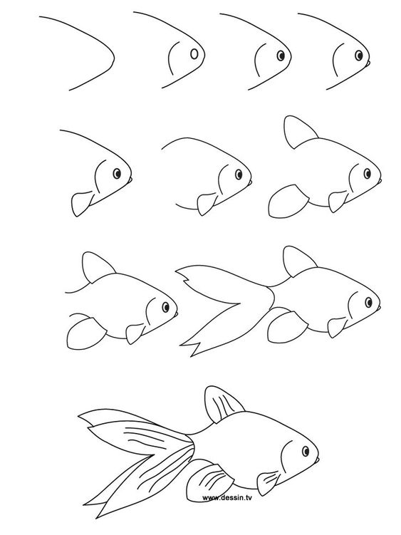 37 top idées et tutos de dessins d'animaux : pour apprendre à dessiner des animaux 35