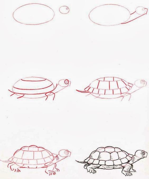37 top idées et tutos de dessins d'animaux : pour apprendre à dessiner des animaux 7
