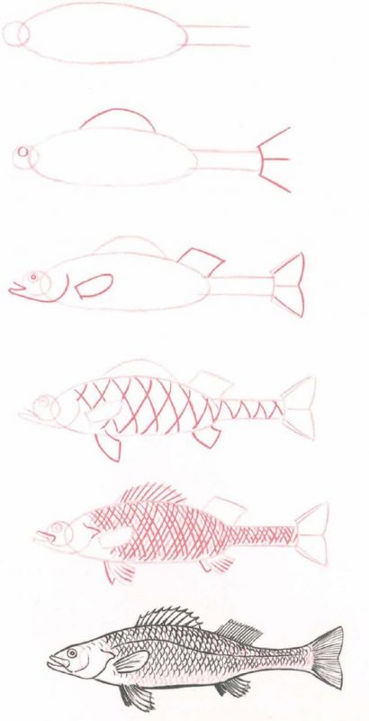 37 top idées et tutos de dessins d'animaux : pour apprendre à dessiner des animaux 10