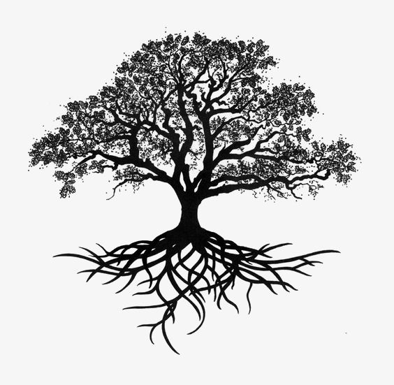 33 super idées de dessins d'arbres : pour apprendre à dessiner un arbre 4