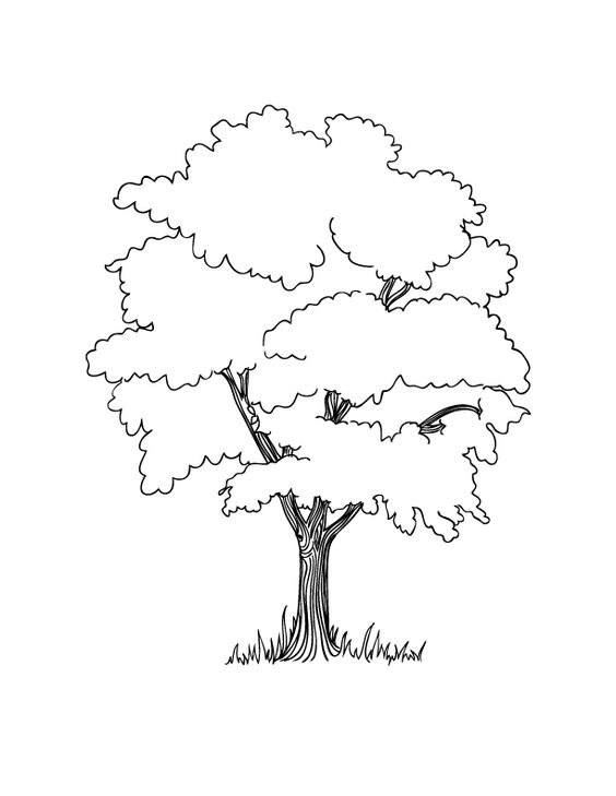 33 super idées de dessins d'arbres : pour apprendre à dessiner un arbre 14