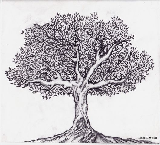 33 super idées de dessins d'arbres : pour apprendre à dessiner un arbre 15