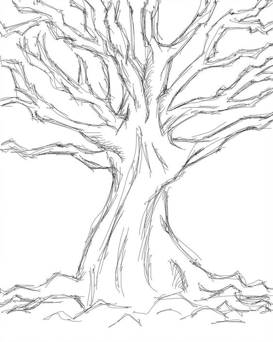 33 super idées de dessins d'arbres : pour apprendre à dessiner un arbre 17