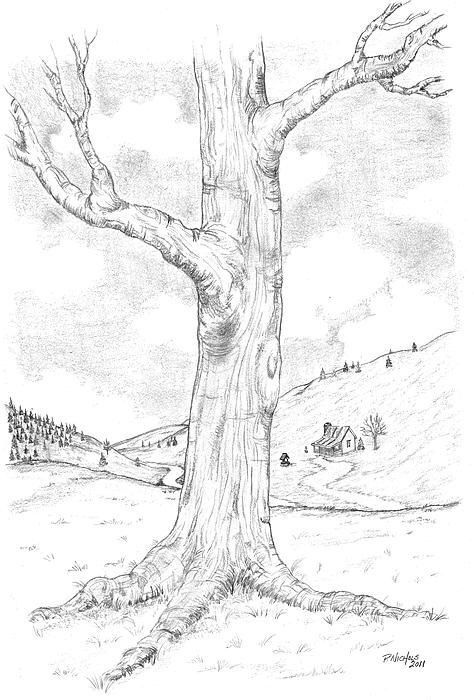 33 super idées de dessins d'arbres : pour apprendre à dessiner un arbre 22