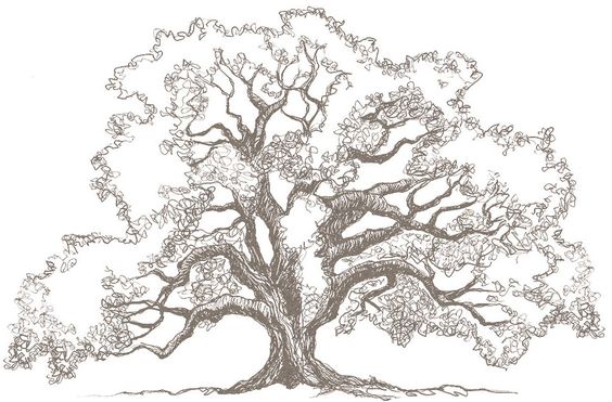 33 super idées de dessins d'arbres : pour apprendre à dessiner un arbre 24