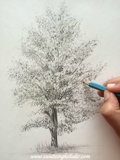 33 super idées de dessins d'arbres : pour apprendre à dessiner un arbre 33