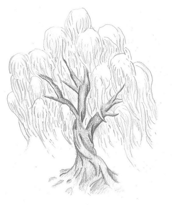 33 super idées de dessins d'arbres : pour apprendre à dessiner un arbre 27