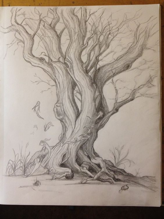 33 super idées de dessins d'arbres : pour apprendre à dessiner un arbre 29