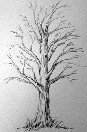 33 super idées de dessins d'arbres : pour apprendre à dessiner un arbre 31